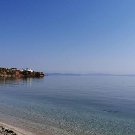 Апартаменты Summer House With A Pool Near Sea, Port & Airport Рафина Экстерьер фото